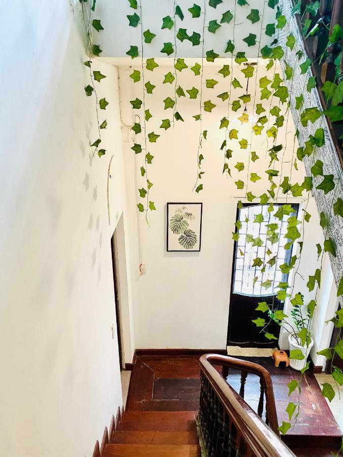 Tabi Homestay Hué Eksteriør billede